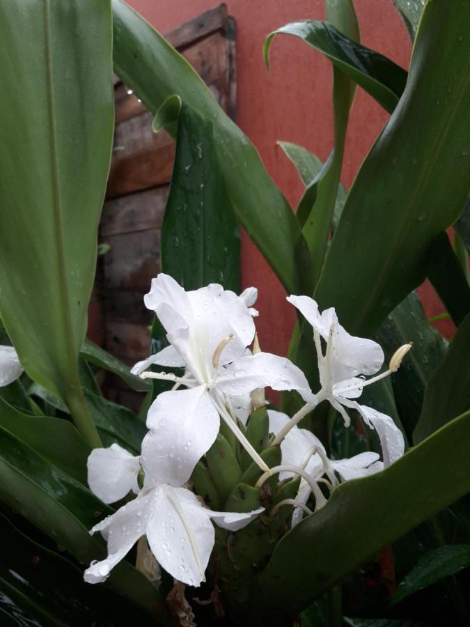 Casa Indaia Bnb - Casa Compartilhada Caraguatatuba Buitenkant foto